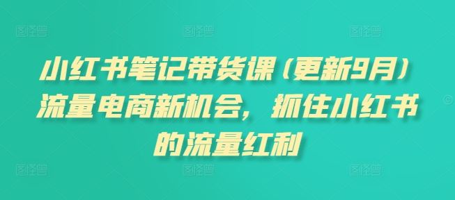 小红书笔记带货课(更新9月)流量电商新机会，抓住小红书的流量红利-神牛哥资源总站