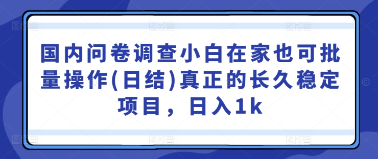 国内问卷调查小白在家也可批量操作(日结)真正的长久稳定项目，日入1k【揭秘】-神牛哥资源总站